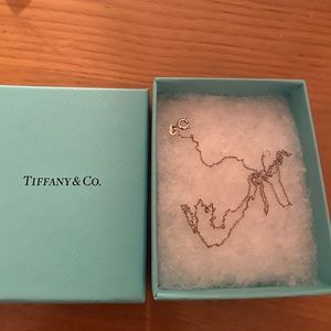 Tiffany & Co Silver Chain